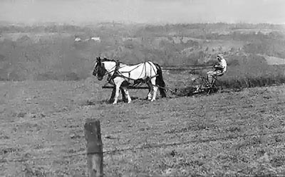 Though we only have a small garden, there are many productive farms around Savanna that are good sources of inexpensive (and high quality!) food. This farmer still trims his hillside pastures with a horse-drawn mower.